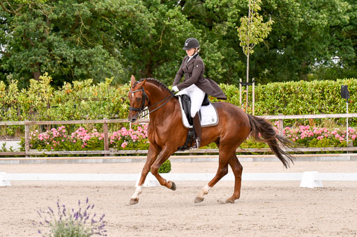 Klein Offenseth Dressur  1.8.2021 | 01082021 Dressur  KL S +_116 