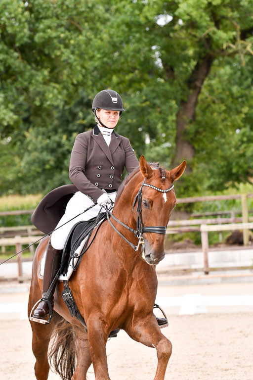 Klein Offenseth Dressur  1.8.2021 | 01082021 Dressur  KL S +_117 