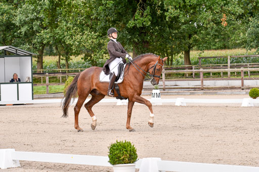 Klein Offenseth Dressur  1.8.2021 | 01082021 Dressur  KL S +_119 