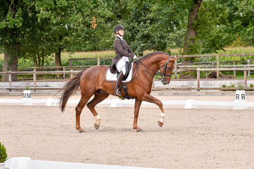 Klein Offenseth Dressur  1.8.2021 | 01082021 Dressur  KL S +_120 