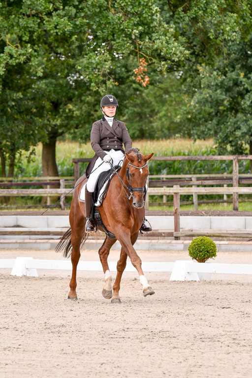 Klein Offenseth Dressur  1.8.2021 | 01082021 Dressur  KL S +_121 