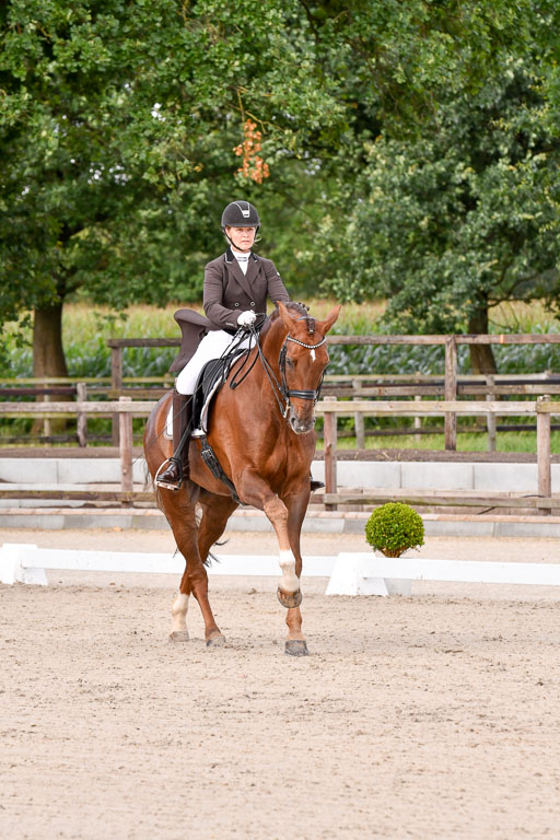 Klein Offenseth Dressur  1.8.2021 | 01082021 Dressur  KL S +_123 