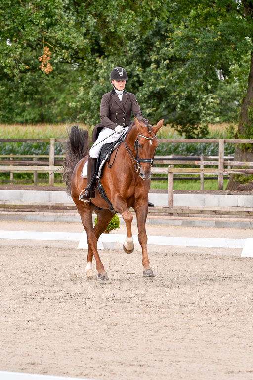 Klein Offenseth Dressur  1.8.2021 | 01082021 Dressur  KL S +_124 