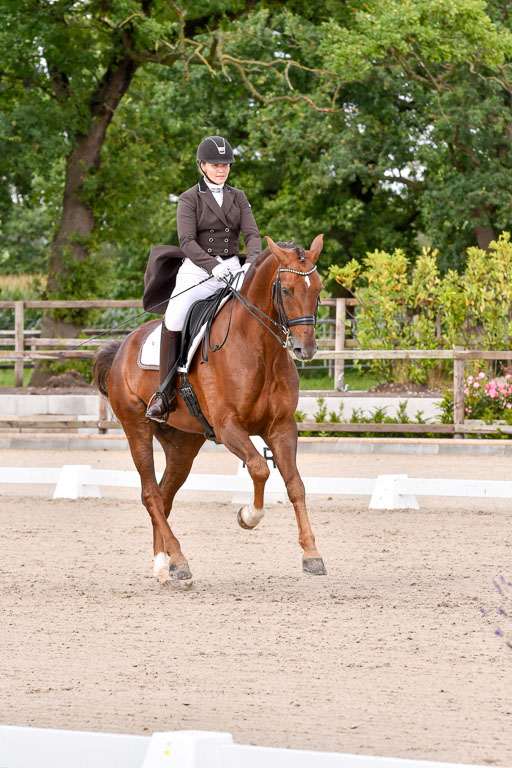 Klein Offenseth Dressur  1.8.2021 | 01082021 Dressur  KL S +_125 