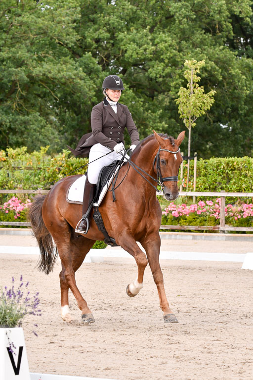 Klein Offenseth Dressur  1.8.2021 | 01082021 Dressur  KL S +_127 