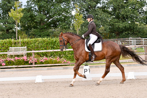 Klein Offenseth Dressur  1.8.2021 | 01082021 Dressur  KL S +_129 