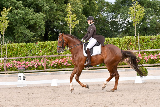 Klein Offenseth Dressur  1.8.2021 | 01082021 Dressur  KL S +_130 