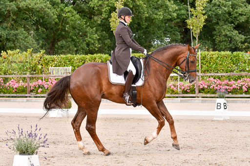 Klein Offenseth Dressur  1.8.2021 | 01082021 Dressur  KL S +_133 