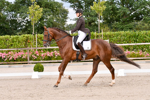 Klein Offenseth Dressur  1.8.2021 | 01082021 Dressur  KL S +_134 