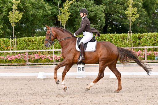 Klein Offenseth Dressur  1.8.2021 | 01082021 Dressur  KL S +_135 