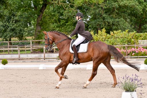 Klein Offenseth Dressur  1.8.2021 | 01082021 Dressur  KL S +_136 