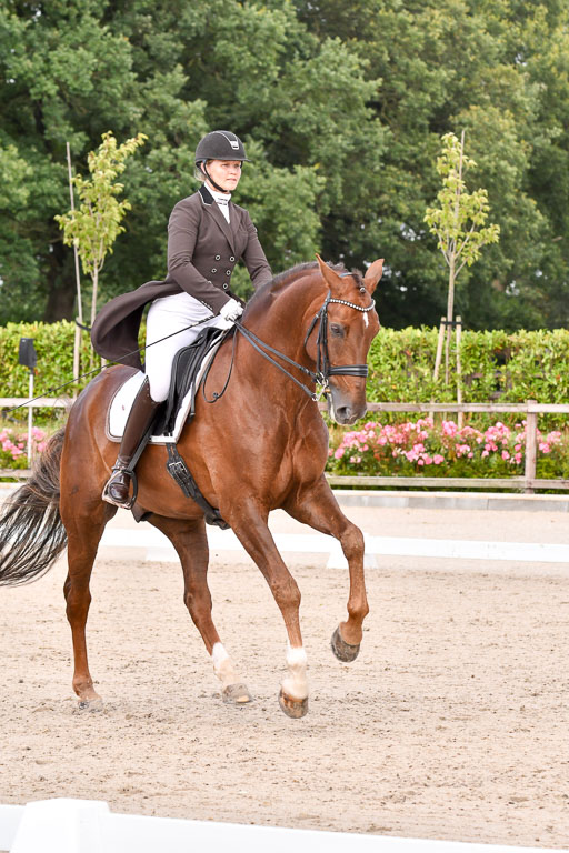 Klein Offenseth Dressur  1.8.2021 | 01082021 Dressur  KL S +_138 