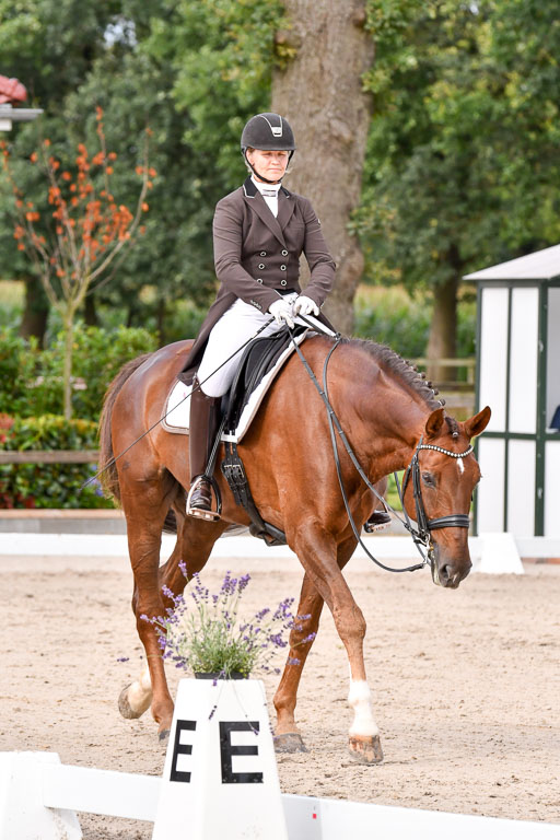 Klein Offenseth Dressur  1.8.2021 | 01082021 Dressur  KL S +_139 