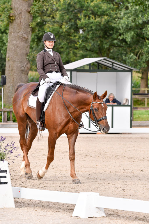 Klein Offenseth Dressur  1.8.2021 | 01082021 Dressur  KL S +_140 