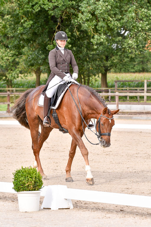 Klein Offenseth Dressur  1.8.2021 | 01082021 Dressur  KL S +_141 