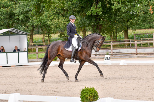 Klein Offenseth Dressur  1.8.2021 | 01082021 Dressur  KL S +_145 