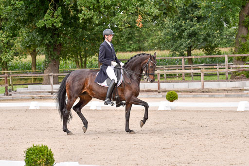 Klein Offenseth Dressur  1.8.2021 | 01082021 Dressur  KL S +_146 