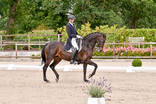 Klein Offenseth Dressur  1.8.2021 | 01082021 Dressur  KL S +_147 