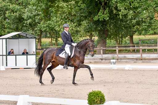 Klein Offenseth Dressur  1.8.2021 | 01082021 Dressur  KL S +_148 