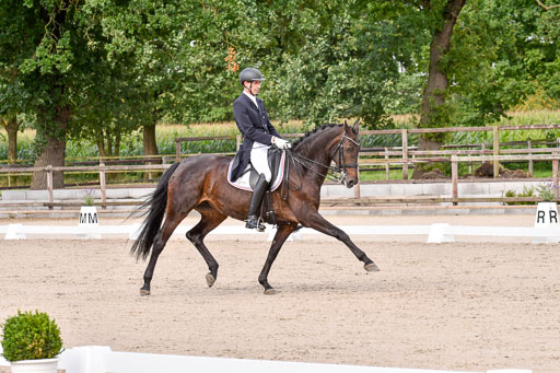 Klein Offenseth Dressur  1.8.2021 | 01082021 Dressur  KL S +_149 