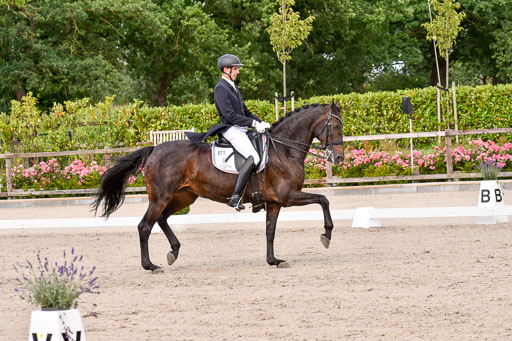 Klein Offenseth Dressur  1.8.2021 | 01082021 Dressur  KL S +_150 