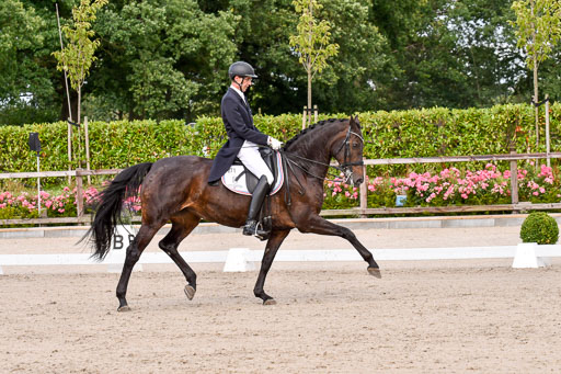 Klein Offenseth Dressur  1.8.2021 | 01082021 Dressur  KL S +_151 