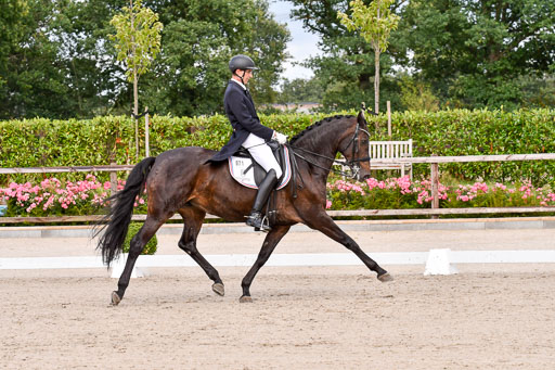 Klein Offenseth Dressur  1.8.2021 | 01082021 Dressur  KL S +_152 