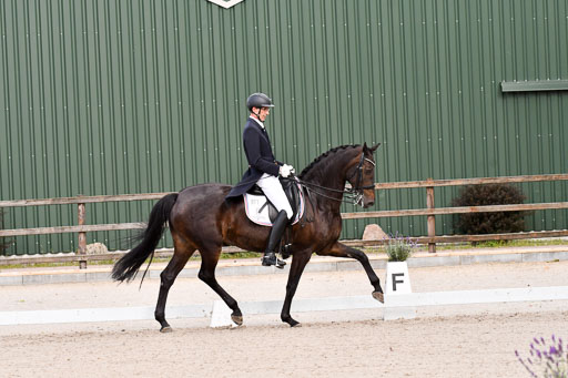 Klein Offenseth Dressur  1.8.2021 | 01082021 Dressur  KL S +_153 