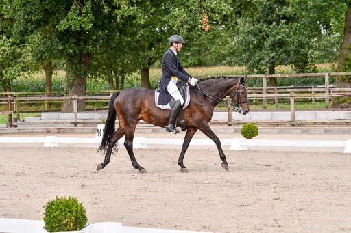 Klein Offenseth Dressur  1.8.2021 | 01082021 Dressur  KL S +_159 