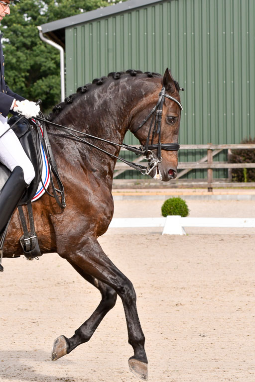 Klein Offenseth Dressur  1.8.2021 | 01082021 Dressur  KL S +_162 