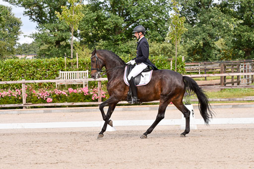 Klein Offenseth Dressur  1.8.2021 | 01082021 Dressur  KL S +_167 