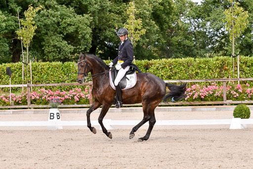 Klein Offenseth Dressur  1.8.2021 | 01082021 Dressur  KL S +_168 