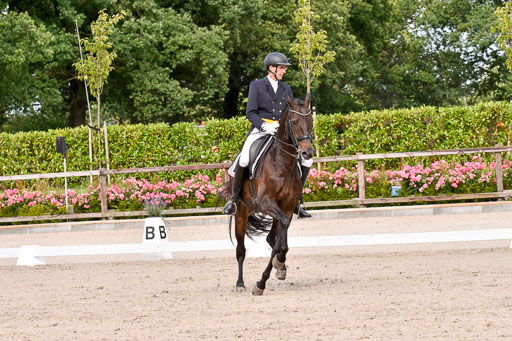 Klein Offenseth Dressur  1.8.2021 | 01082021 Dressur  KL S +_169 