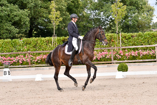 Klein Offenseth Dressur  1.8.2021 | 01082021 Dressur  KL S +_170 