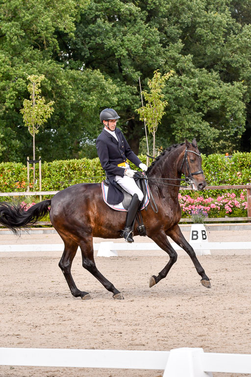 Klein Offenseth Dressur  1.8.2021 | 01082021 Dressur  KL S +_172 