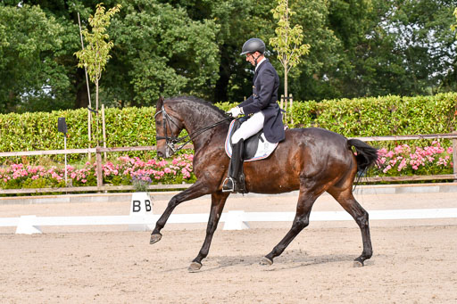 Klein Offenseth Dressur  1.8.2021 | 01082021 Dressur  KL S +_173 