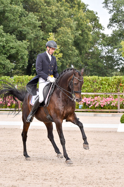 Klein Offenseth Dressur  1.8.2021 | 01082021 Dressur  KL S +_175 