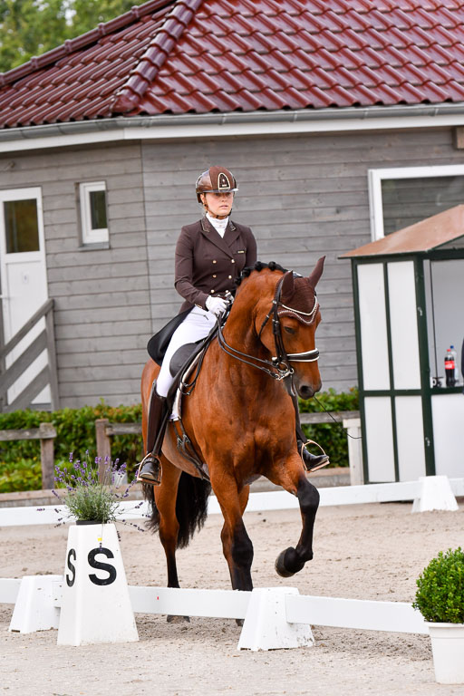 Klein Offenseth Dressur  1.8.2021 | 01082021 Dressur  KL S +_180 