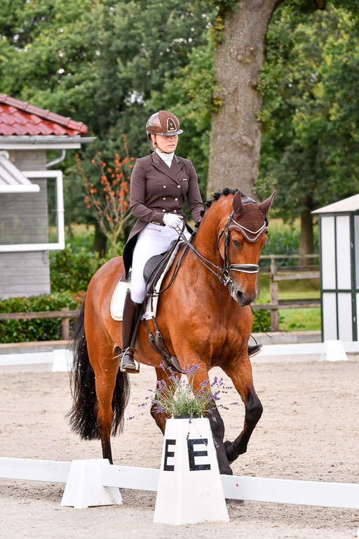 Klein Offenseth Dressur  1.8.2021 | 01082021 Dressur  KL S +_181 