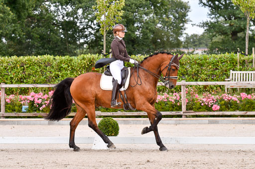 Klein Offenseth Dressur  1.8.2021 | 01082021 Dressur  KL S +_183 