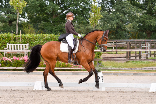 Klein Offenseth Dressur  1.8.2021 | 01082021 Dressur  KL S +_184 