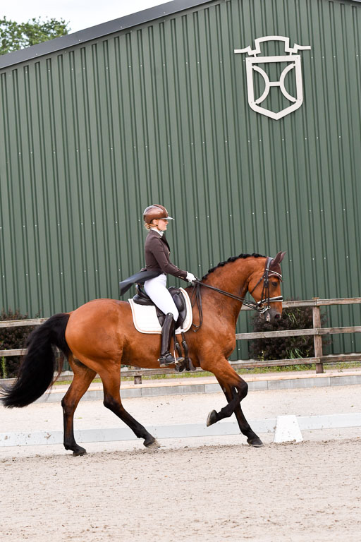 Klein Offenseth Dressur  1.8.2021 | 01082021 Dressur  KL S +_185 