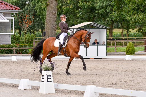 Klein Offenseth Dressur  1.8.2021 | 01082021 Dressur  KL S +_186 