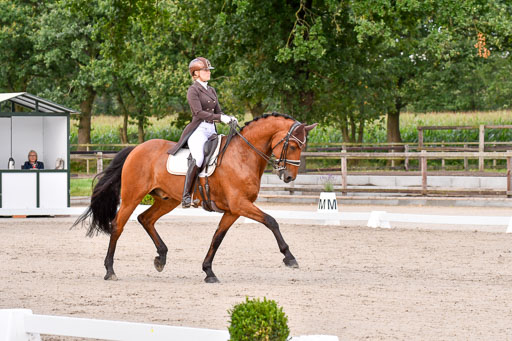 Klein Offenseth Dressur  1.8.2021 | 01082021 Dressur  KL S +_187 