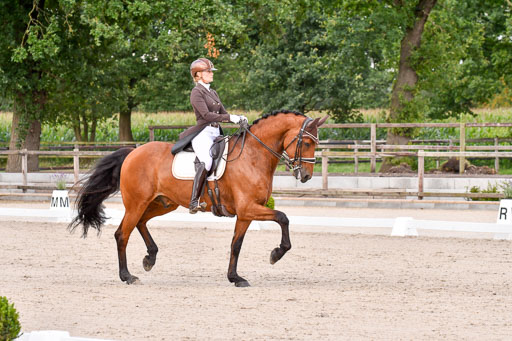 Klein Offenseth Dressur  1.8.2021 | 01082021 Dressur  KL S +_188 