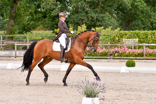 Klein Offenseth Dressur  1.8.2021 | 01082021 Dressur  KL S +_189 