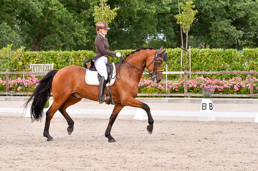 Klein Offenseth Dressur  1.8.2021 | 01082021 Dressur  KL S +_190 