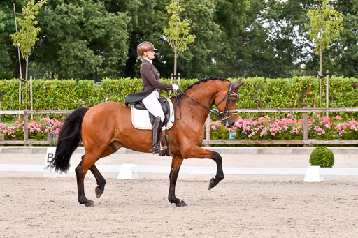 Klein Offenseth Dressur  1.8.2021 | 01082021 Dressur  KL S +_191 