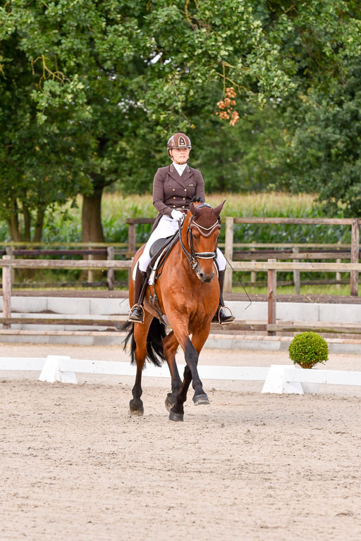 Klein Offenseth Dressur  1.8.2021 | 01082021 Dressur  KL S +_192 