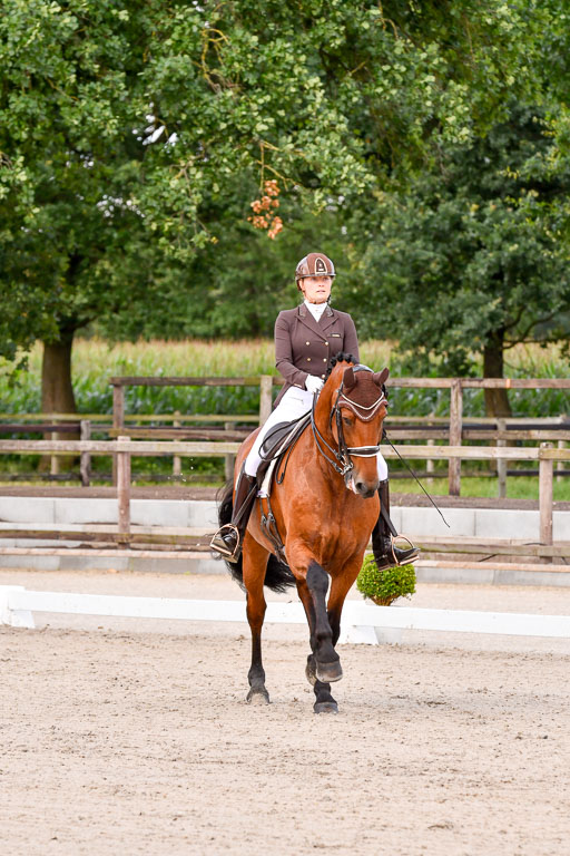 Klein Offenseth Dressur  1.8.2021 | 01082021 Dressur  KL S +_193 